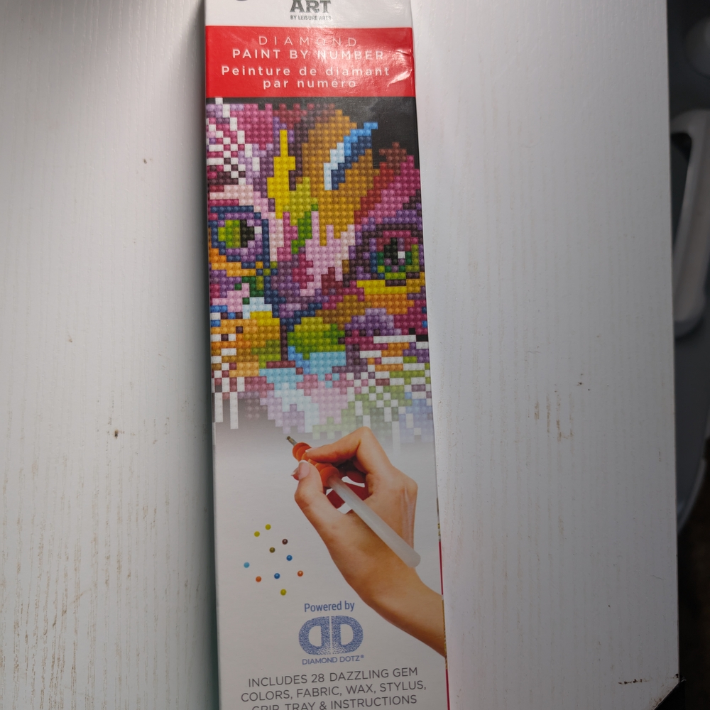 Diamond Supply Co. Cat Paint by Number Kit - Multicolor
